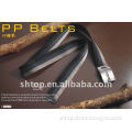 Top-quality pp webbing belt